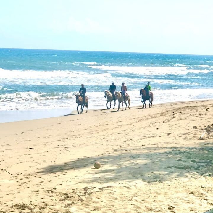 CasaDePlaya Cabarete Beachfront (9)